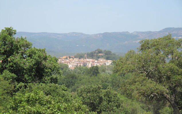 Eden Golfe - Photo 26