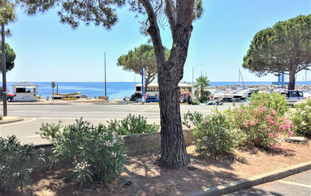 Les Jardins d'Ys - Photo 29