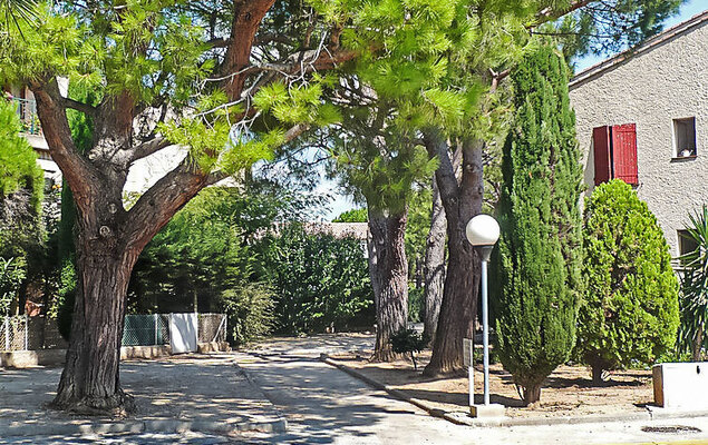 L'Ile heureuse - Photo 21