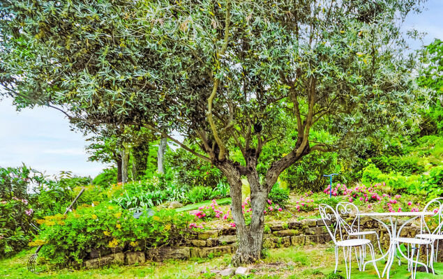 Douce campagne - Photo 16