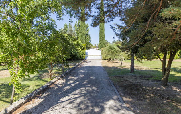 A l'Ombre du Soleil - Photo 14