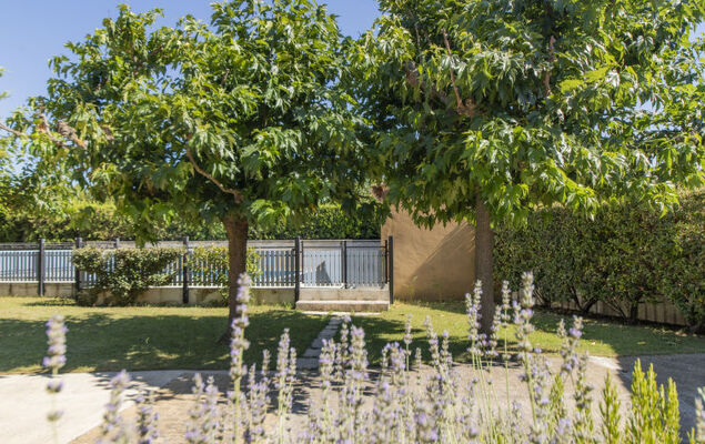 A l'Ombre du Soleil - Photo 23