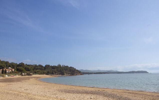 Lou Clapas - Photo 24