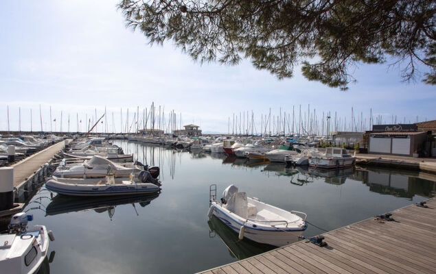 Lou Clapas - Photo 28