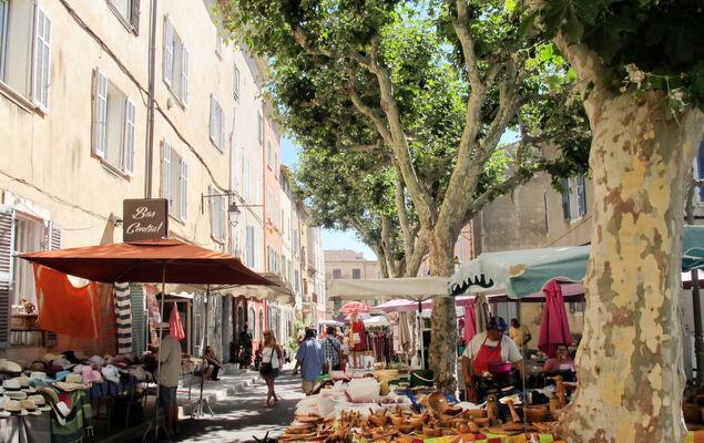 La Péguière - Photo 28