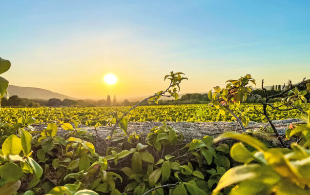 Villa Montagne - Photo 37