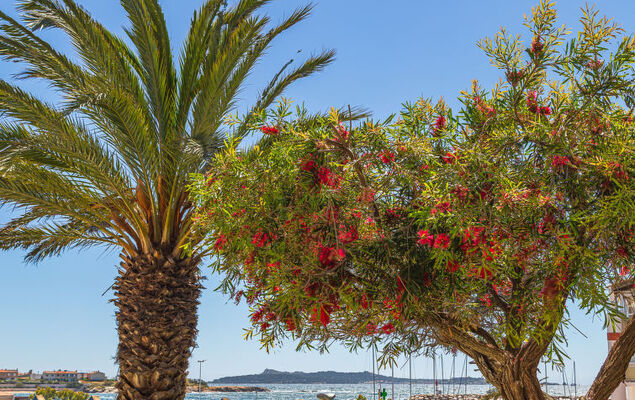Les Rivages de Coudoulière - Photo 38