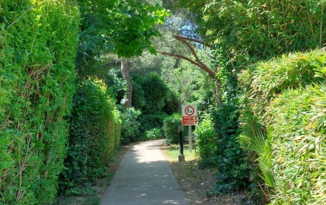 Les Rivages de Coudoulière - Photo 49