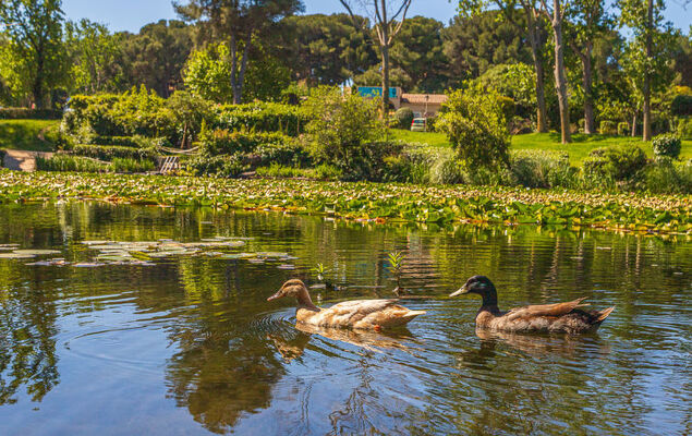 Les Rivages de Coudoulière - Photo 50