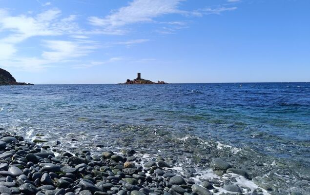 Résidence Les Sangliers - Photo 28